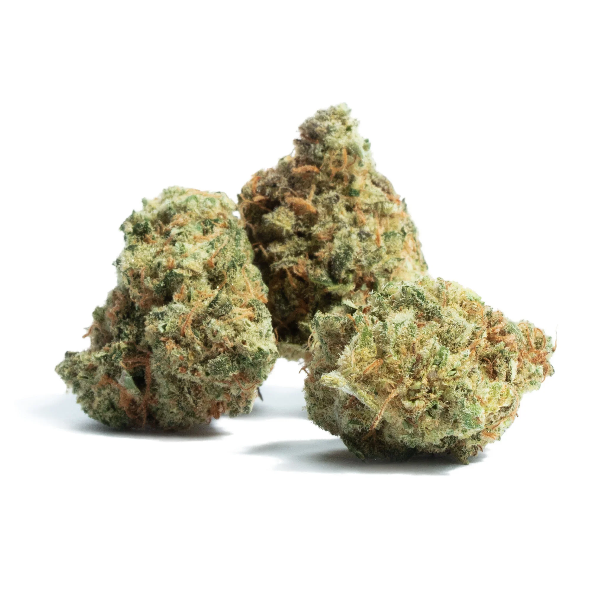 Black Cherry Gelato 28.5 % thc, 80% indica