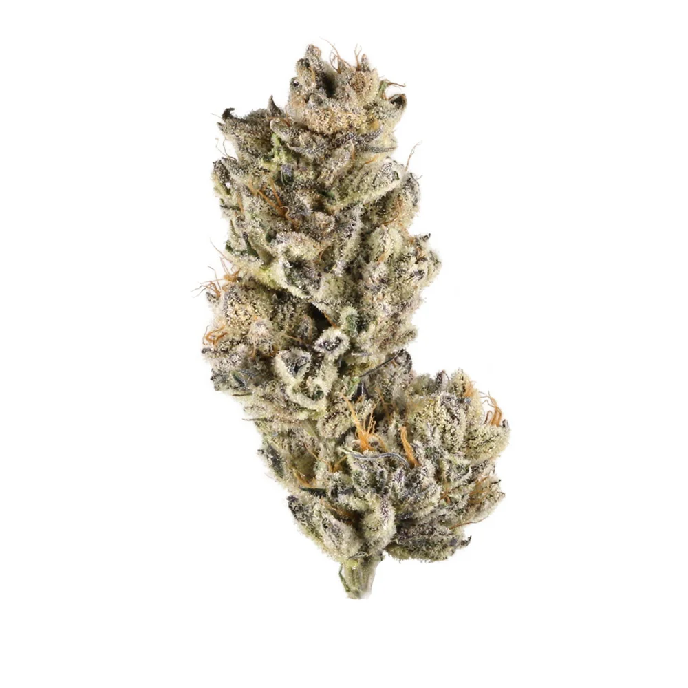 Blue Shlushes hybrid Indica-dom. 24% thc