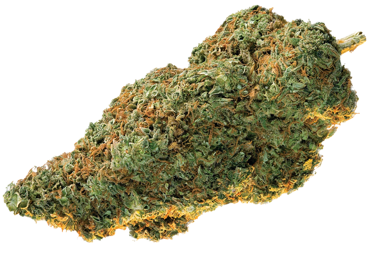 cannabis buds in Europe cannabis buds in Europe
