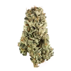 Cherry Pie hybrid 24% thc