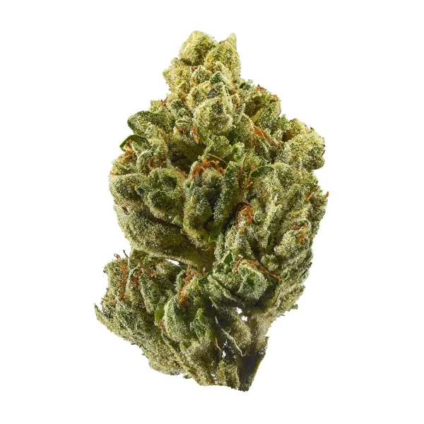 OG Kush hybrid indica