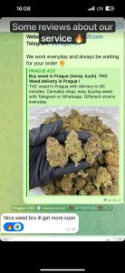 Reviews of europe cannabis.com