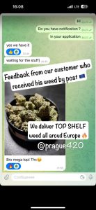 Reviews of europe cannabis.com 11