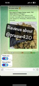 Reviews of europe cannabis.com 15