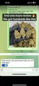 Reviews of europe cannabis.com 3