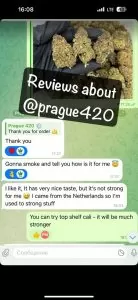 Reviews of europe cannabis.com 4