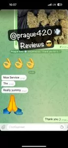 Reviews of europe cannabis.com 5