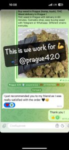 Reviews of europe cannabis.com 6