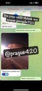 Reviews of europe cannabis.com 7