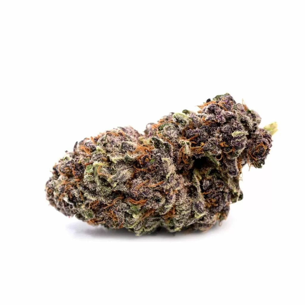 Buy Permanent Marker weed strain with delivery in Europe