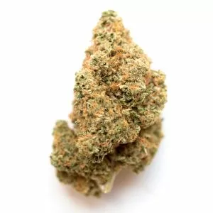Buy Blue Guava cannabis strain with delivery in Europe